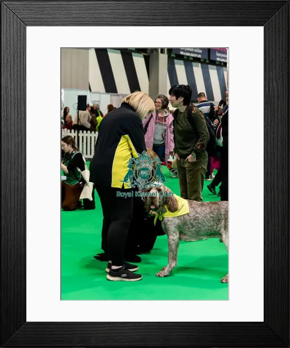 Framed Print : The Safe And Sound Scheme In The Good Citizen Ring