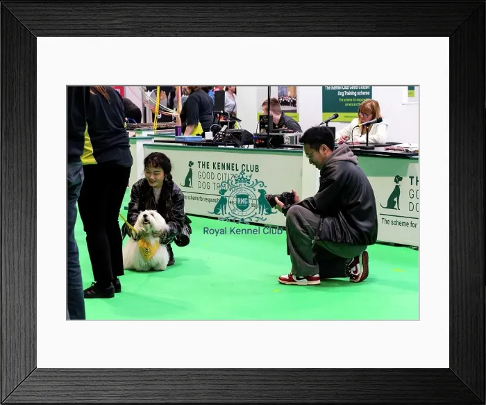 Framed Print : The Safe And Sound Scheme In The Good Citizen Ring