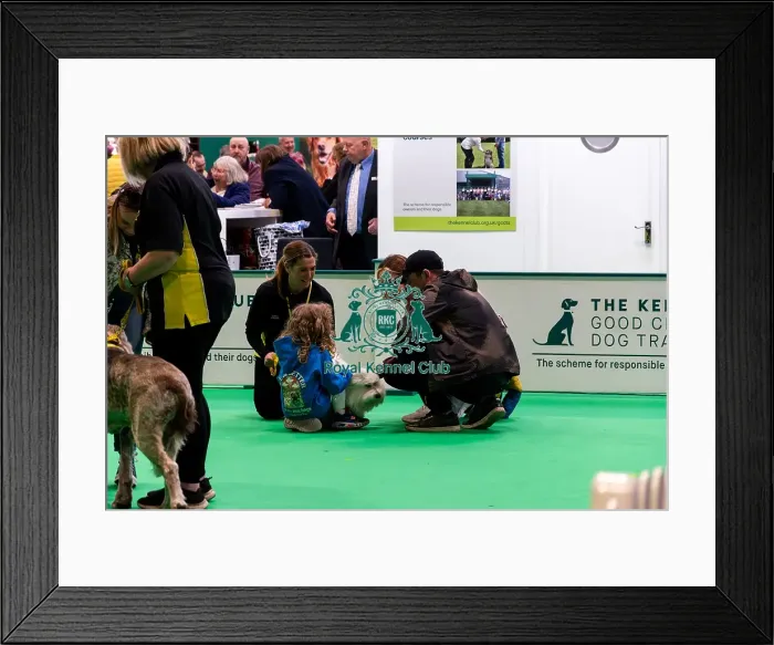 Framed Print : The Safe And Sound Scheme In The Good Citizen Ring