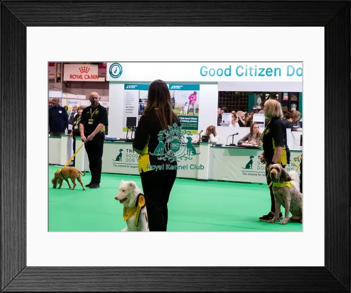 Framed Print : The Safe And Sound Scheme In The Good Citizen Ring