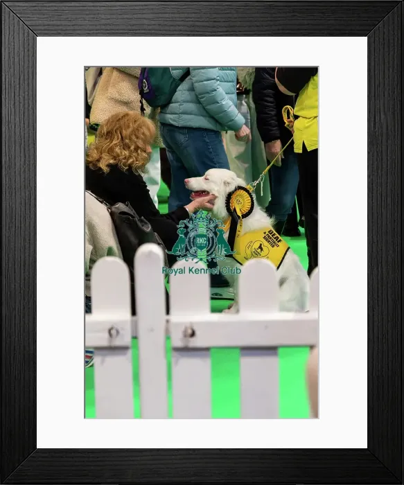 Framed Print : The Safe And Sound Scheme In The Good Citizen Ring