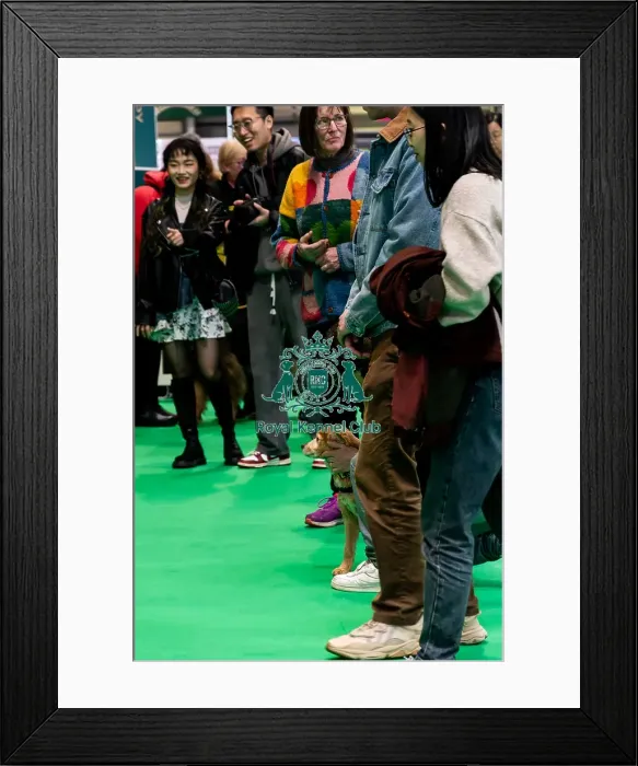 Framed Print : The Safe And Sound Scheme In The Good Citizen Ring