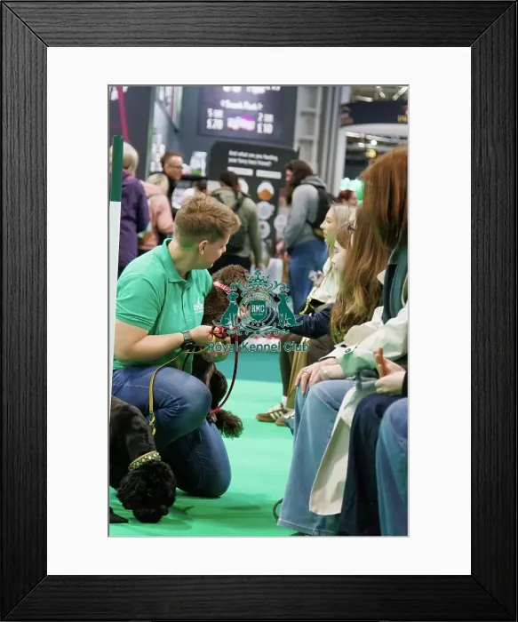 Framed Print : Have a go Agility Framed Print : Have a go Agility