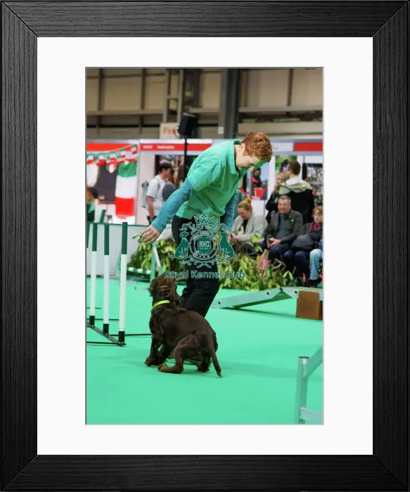 Framed Print : Crufts Friday 7th March 2025 - Have a go Agility Framed Print : Crufts Friday 7th March 2025 - Have a go Agility