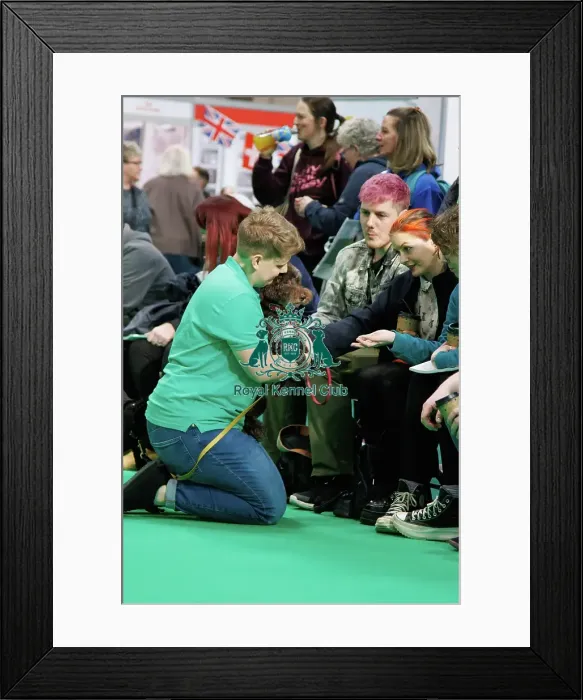 Framed Print : Have a go Agility Framed Print : Have a go Agility