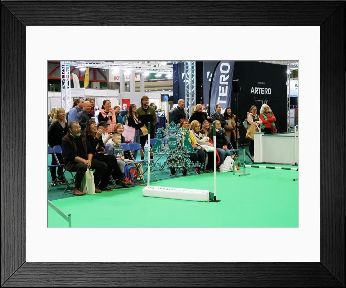 Framed Print : Have a go Agility Framed Print : Have a go Agility