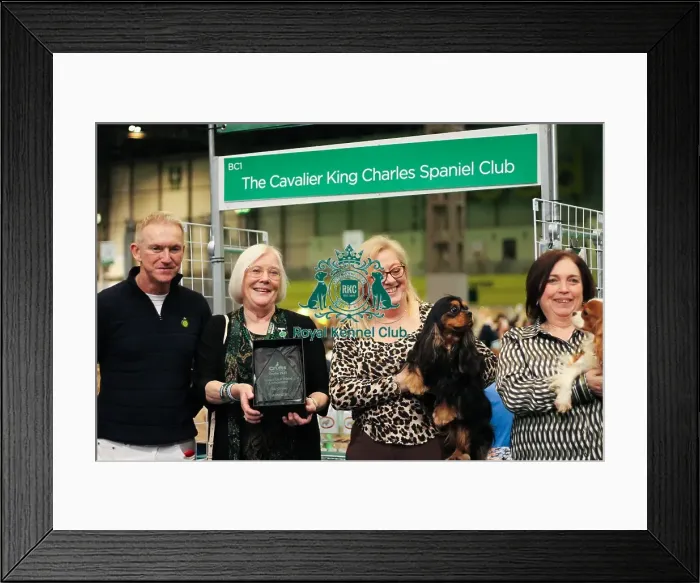 Framed Print : Cavalier King Charles Spaniel, best breed club stands, group photo, BC1, cavalier King Charles club Framed Print : Cavalier King Charles Spaniel, best breed club stands, group photo, BC1, cavalier King Charles club
