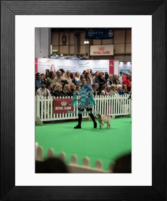 Framed Print : Good Citizen Display Framed Print : Good Citizen Display