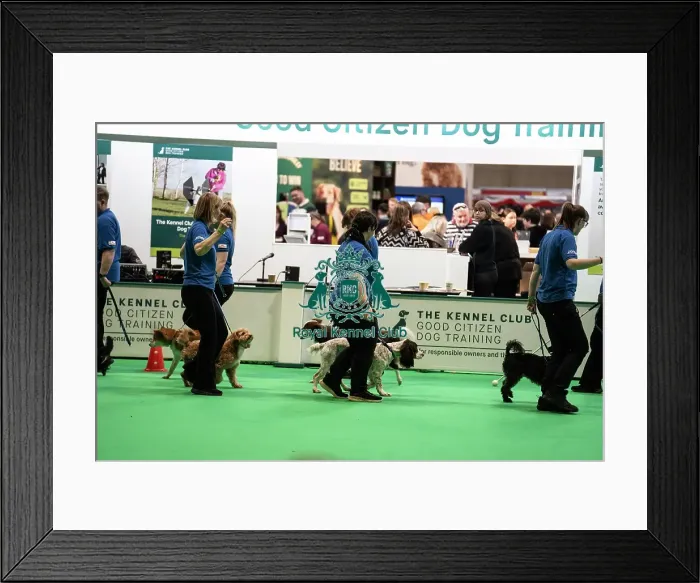 Framed Print : Good Citizen Display Framed Print : Good Citizen Display