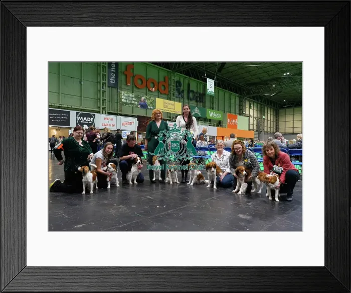 Framed Print : Crufts 2025 Friday