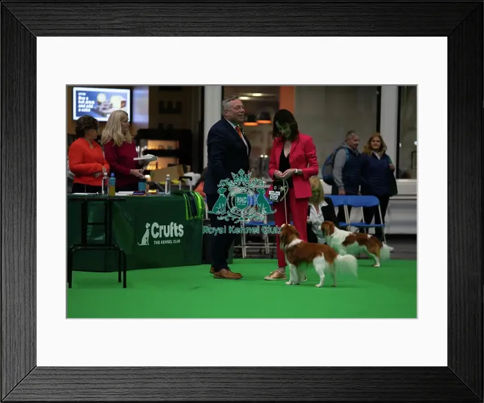 Framed Print : Crufts 2025 Friday