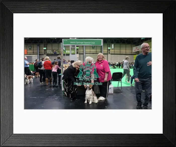 Framed Print : Best Breed Club Framed Print : Best Breed Club
