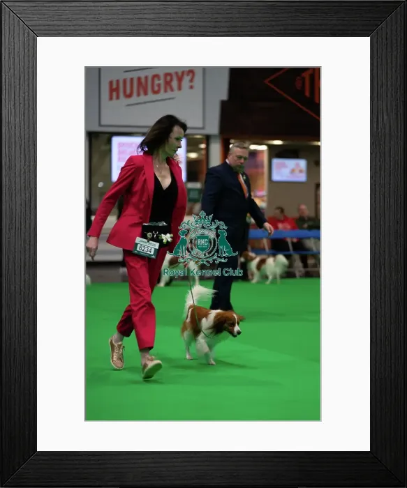 Framed Print : Crufts 2025 Friday