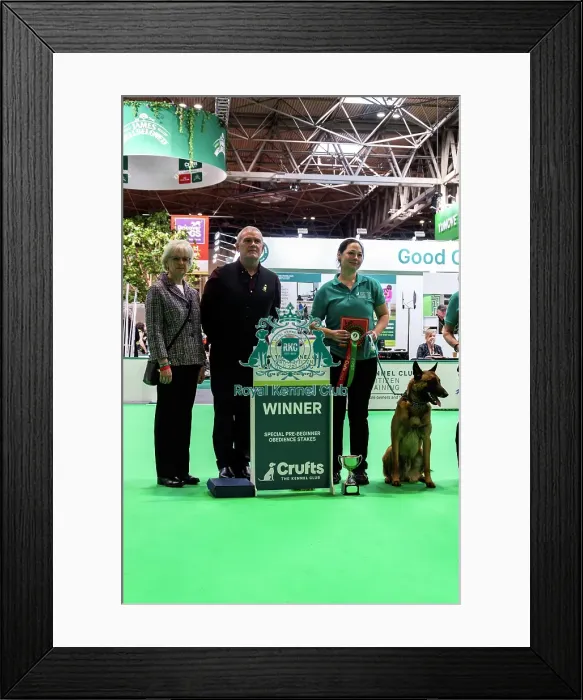 Framed Print : Good Citizen Special Pre-Beginner Obedience Stakes Winners Framed Print : Good Citizen Special Pre-Beginner Obedience Stakes Winners
