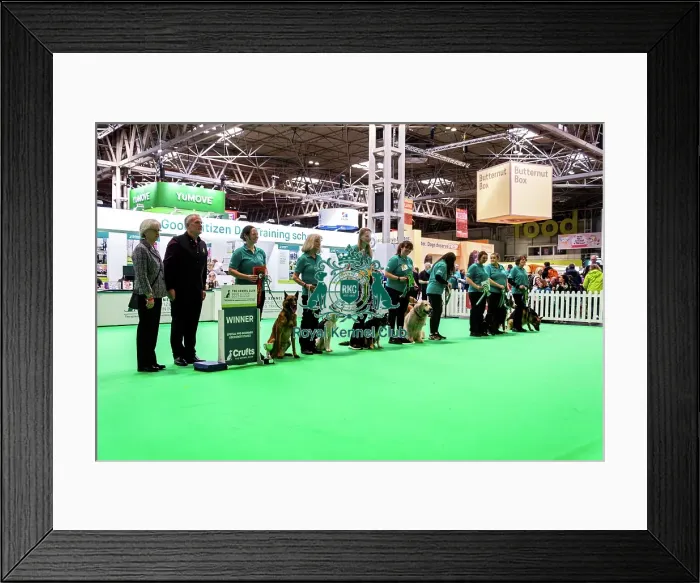 Framed Print : Good Citizen Special Pre-Beginner Obedience Stakes Winners Framed Print : Good Citizen Special Pre-Beginner Obedience Stakes Winners