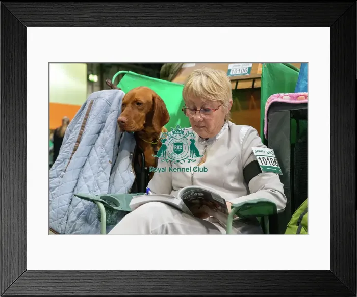 Framed Print : Crufts 2025 Saturday