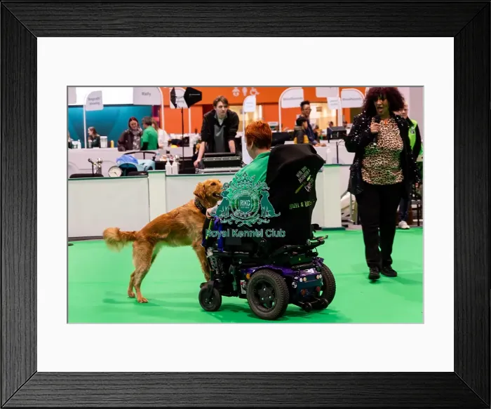 Framed Print : Have A Go Heelwork To Music Framed Print : Have A Go Heelwork To Music
