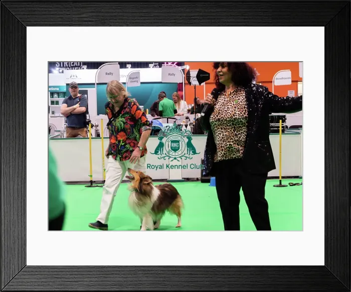 Framed Print : Have A Go Heelwork To Music Framed Print : Have A Go Heelwork To Music