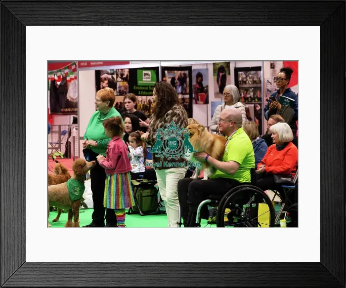 Framed Print : Have A Go Heelwork To Music Framed Print : Have A Go Heelwork To Music