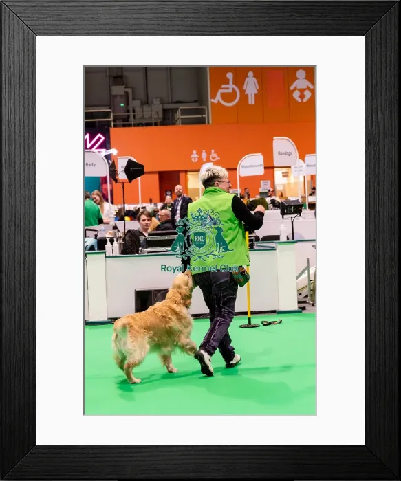 Framed Print : Have A Go Heelwork To Music Framed Print : Have A Go Heelwork To Music