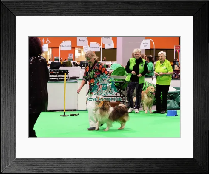 Framed Print : Have A Go Heelwork To Music