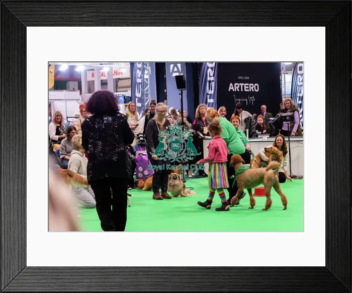 Framed Print : Have A Go Heelwork To Music Framed Print : Have A Go Heelwork To Music