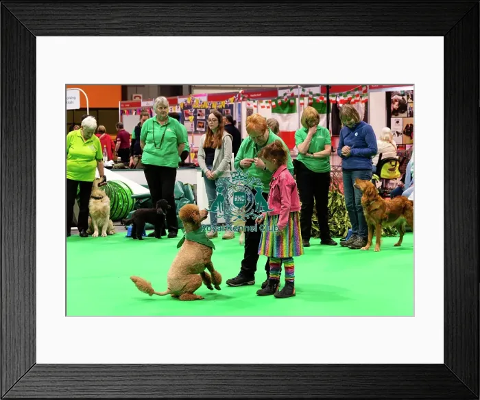 Framed Print : Have A Go Heelwork To Music Framed Print : Have A Go Heelwork To Music