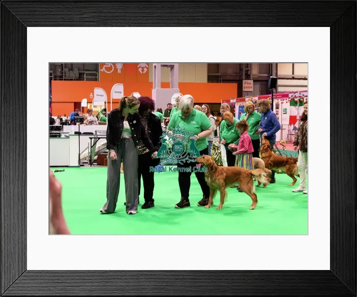 Framed Print : Have A Go Heelwork To Music Framed Print : Have A Go Heelwork To Music