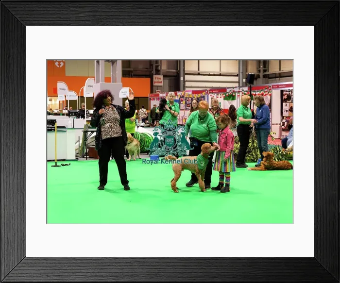 Framed Print : Have A Go Heelwork To Music Framed Print : Have A Go Heelwork To Music