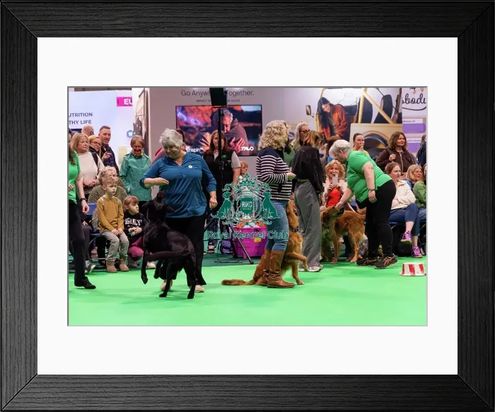 Framed Print : Have A Go Heelwork To Music Framed Print : Have A Go Heelwork To Music