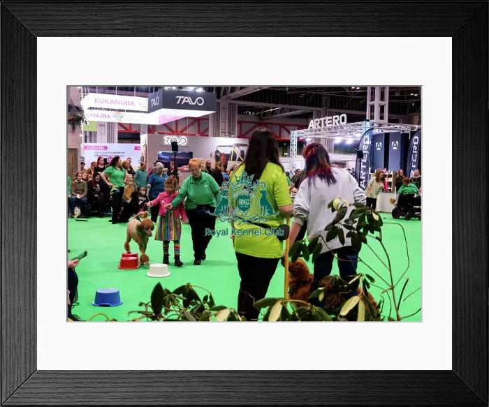 Framed Print : Have A Go Heelwork To Music Framed Print : Have A Go Heelwork To Music