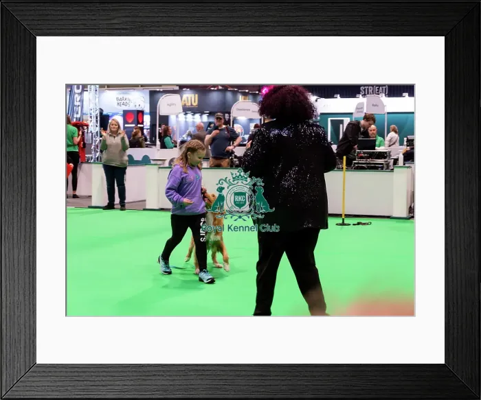Framed Print : Have A Go Heelwork To Music Framed Print : Have A Go Heelwork To Music