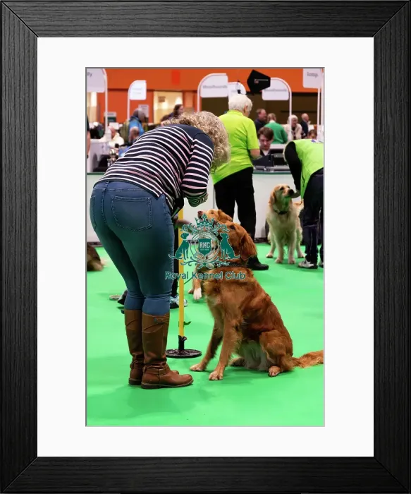 Framed Print : Have A Go Heelwork To Music Framed Print : Have A Go Heelwork To Music