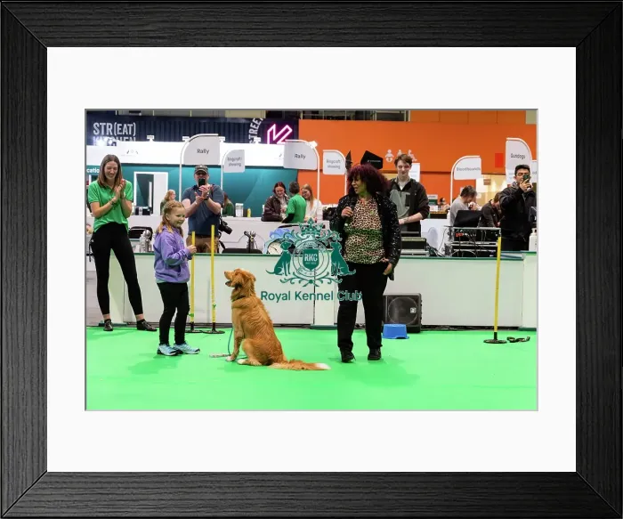 Framed Print : Have A Go Heelwork To Music Framed Print : Have A Go Heelwork To Music