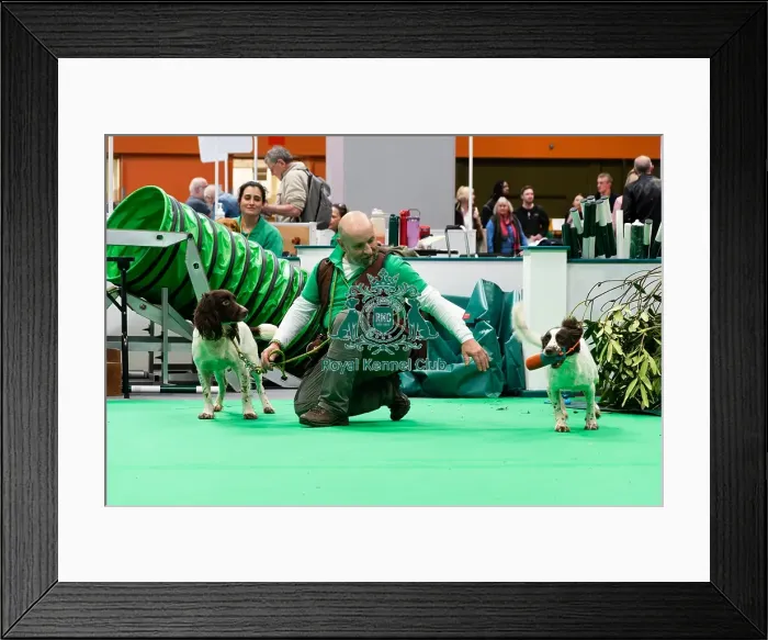 Framed Print : Have A Go Gundog