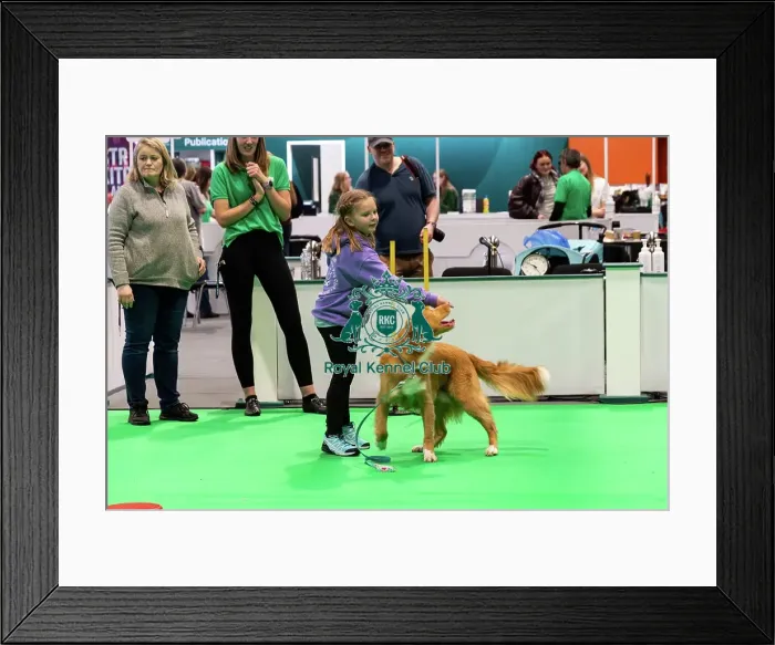 Framed Print : Have A Go Heelwork To Music Framed Print : Have A Go Heelwork To Music