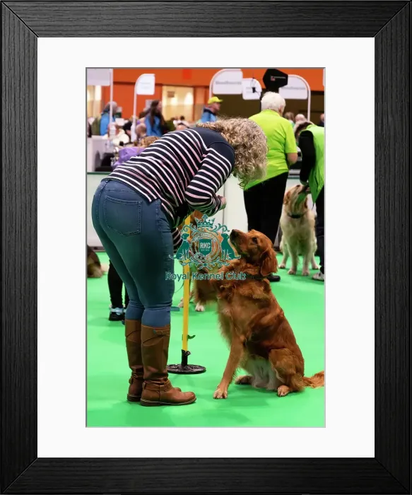 Framed Print : Have A Go Heelwork To Music Framed Print : Have A Go Heelwork To Music