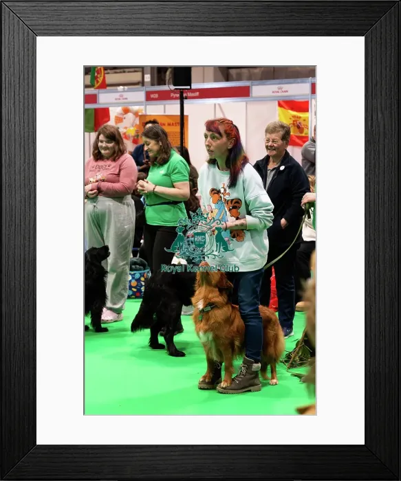 Framed Print : Have A Go Heelwork To Music Framed Print : Have A Go Heelwork To Music