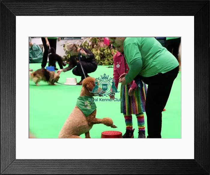 Framed Print : Have A Go Heelwork To Music Framed Print : Have A Go Heelwork To Music