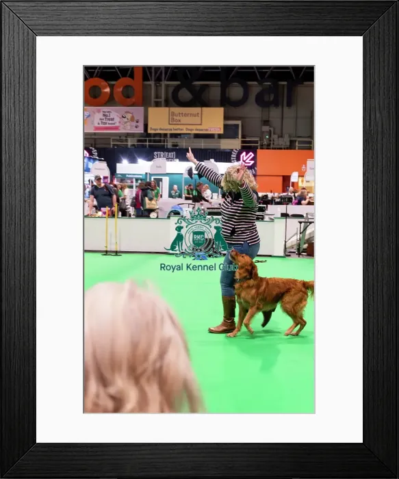 Framed Print : Have A Go Heelwork To Music Framed Print : Have A Go Heelwork To Music