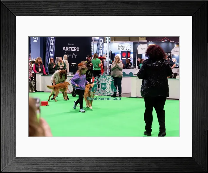Framed Print : Have A Go Heelwork To Music Framed Print : Have A Go Heelwork To Music