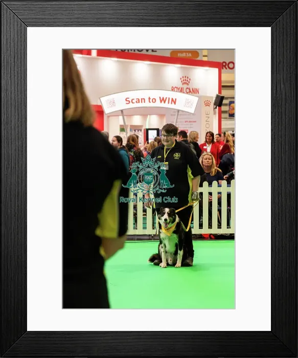 Framed Print : Good Citizen Training Framed Print : Good Citizen Training