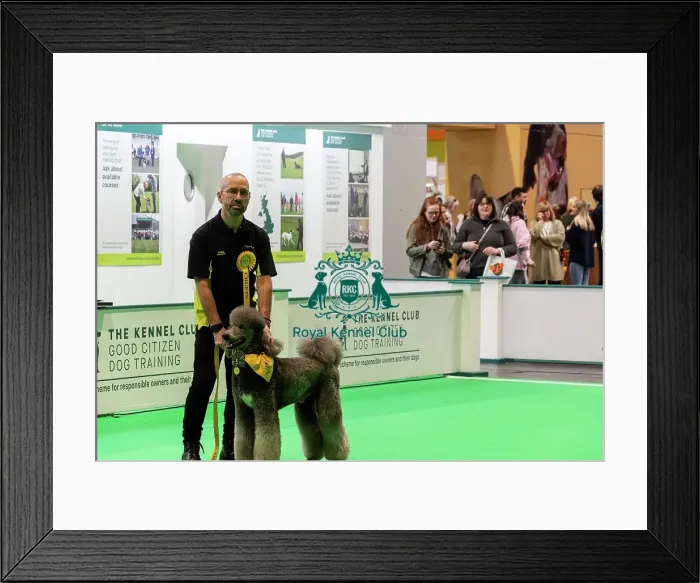 Framed Print : Good Citizen Training Framed Print : Good Citizen Training