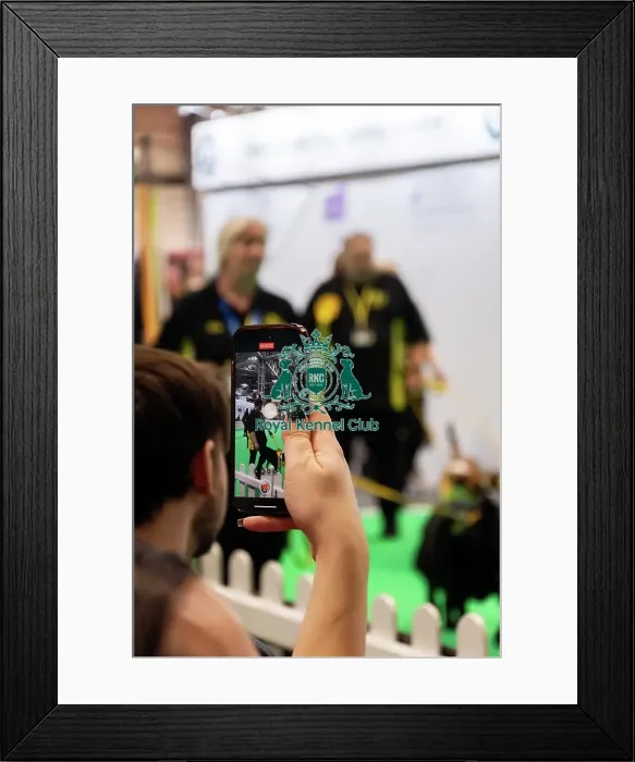 Framed Print : Good Citizen Training Framed Print : Good Citizen Training