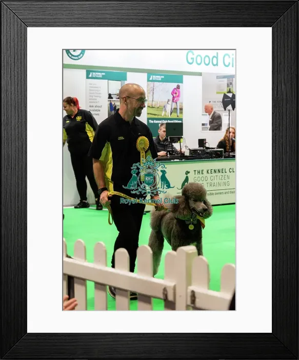 Framed Print : Good Citizen Training Framed Print : Good Citizen Training