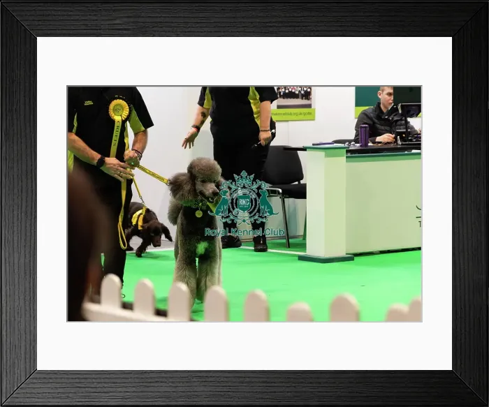 Framed Print : Good Citizen Training Framed Print : Good Citizen Training