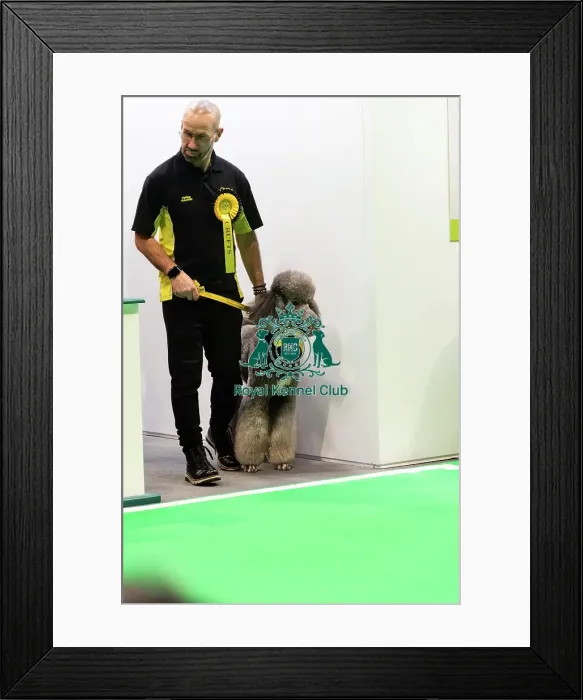 Framed Print : Good Citizen Training Framed Print : Good Citizen Training