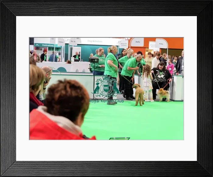 Framed Print : Have A Go Rally Activity Framed Print : Have A Go Rally Activity