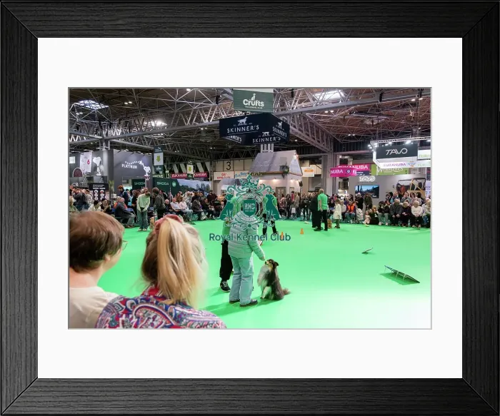 Framed Print : Have A Go Rally Activity Framed Print : Have A Go Rally Activity