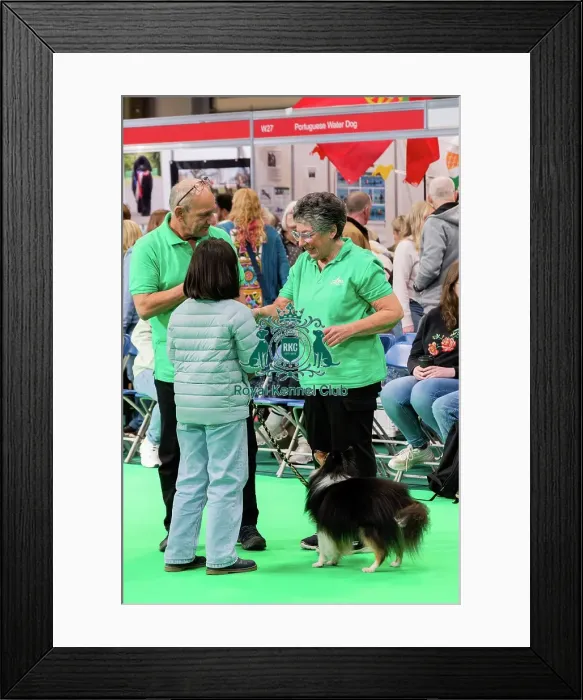 Framed Print : Have A Go Rally Activity Framed Print : Have A Go Rally Activity